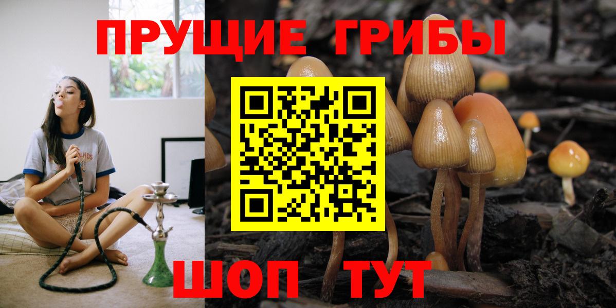 Галлюциногенные грибы Psilocybine cubensis  магазин продажи наркотиков  Новоалтайск  Вход с VPN 